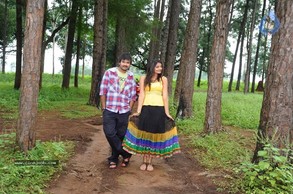 Nee Naan Mattum Tamil Movie Stills - 19 / 30 photos