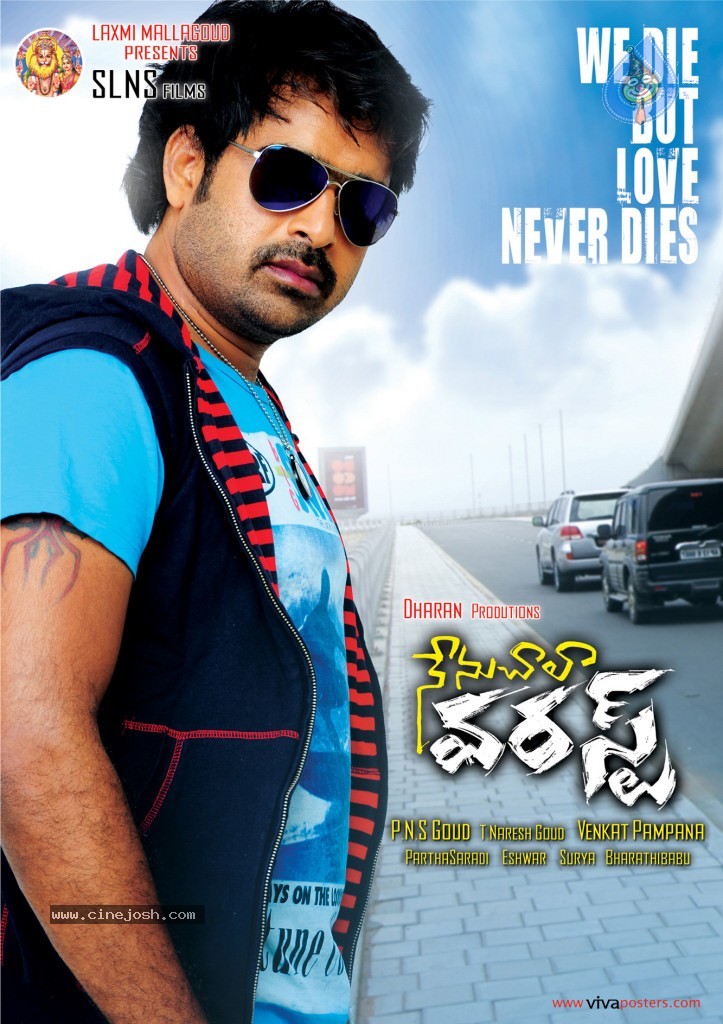 Nenu Chala Worst Movie Posters - 5 / 21 photos