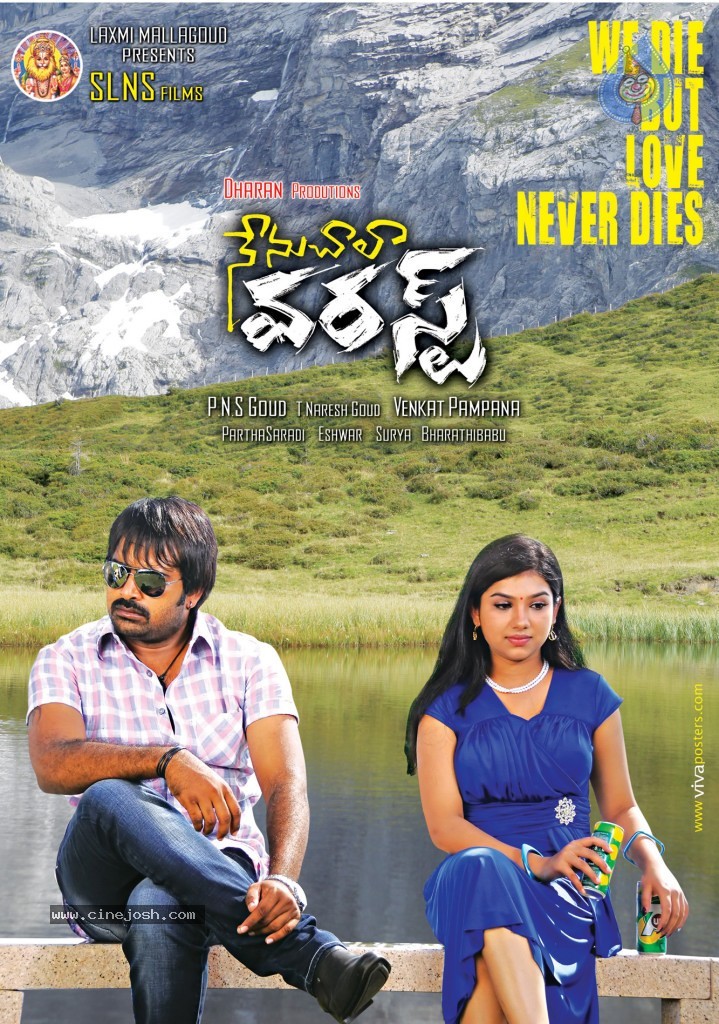 Nenu Chala Worst Movie Posters - 13 / 21 photos