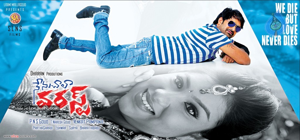 Nenu Chala Worst Movie Posters - 18 / 21 photos