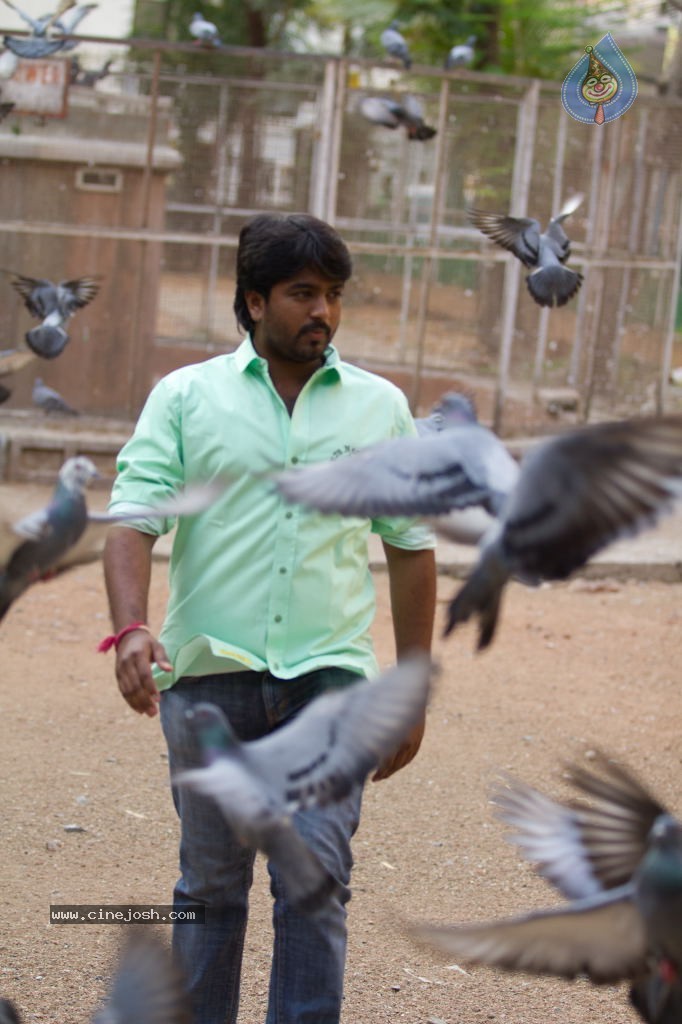 Nenu Nene Ramune Movie Stills - 6 / 16 photos