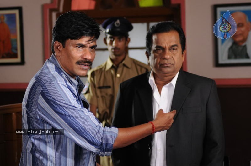 Nuvvekkadunte Nenakkadunta Movie Gallery - 59 / 76 photos