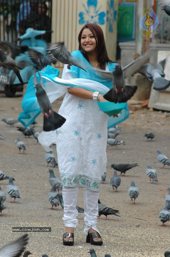 Nuvvekkadunte Nenakkadunta Movie Stills - 38 / 70 photos