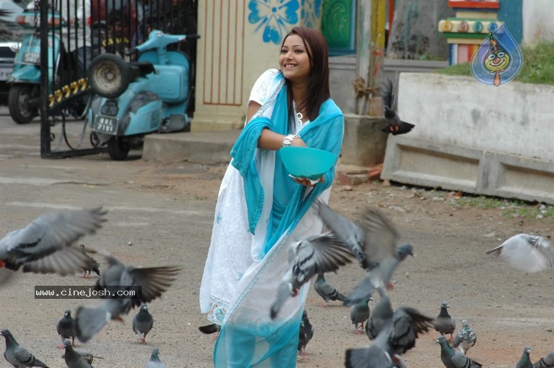  Nuvvekkadunte Nenakkadunta New Movie Stills  - 13 / 60 photos