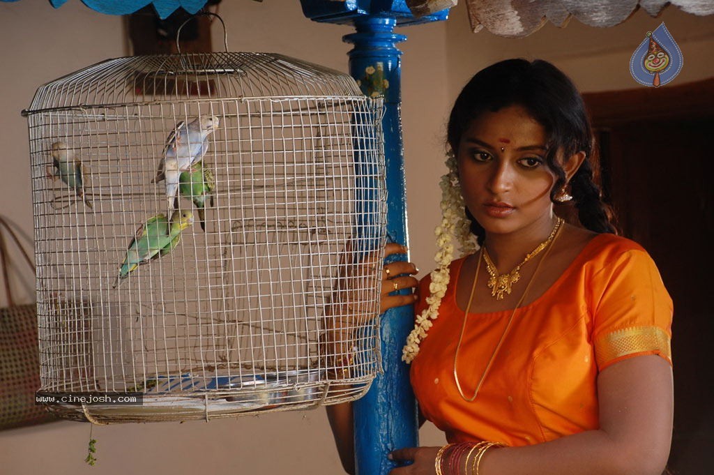 Pattikattu Mappillai Tamil Movie Stills - 44 / 57 photos