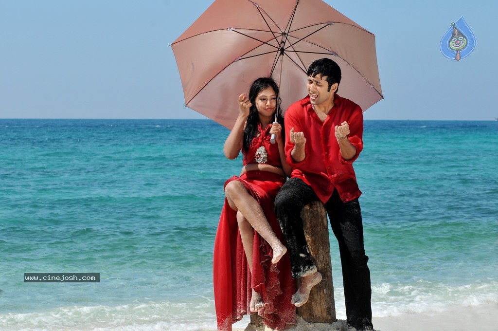 Pelli Pusthakam Movie Photos - 17 / 17 photos