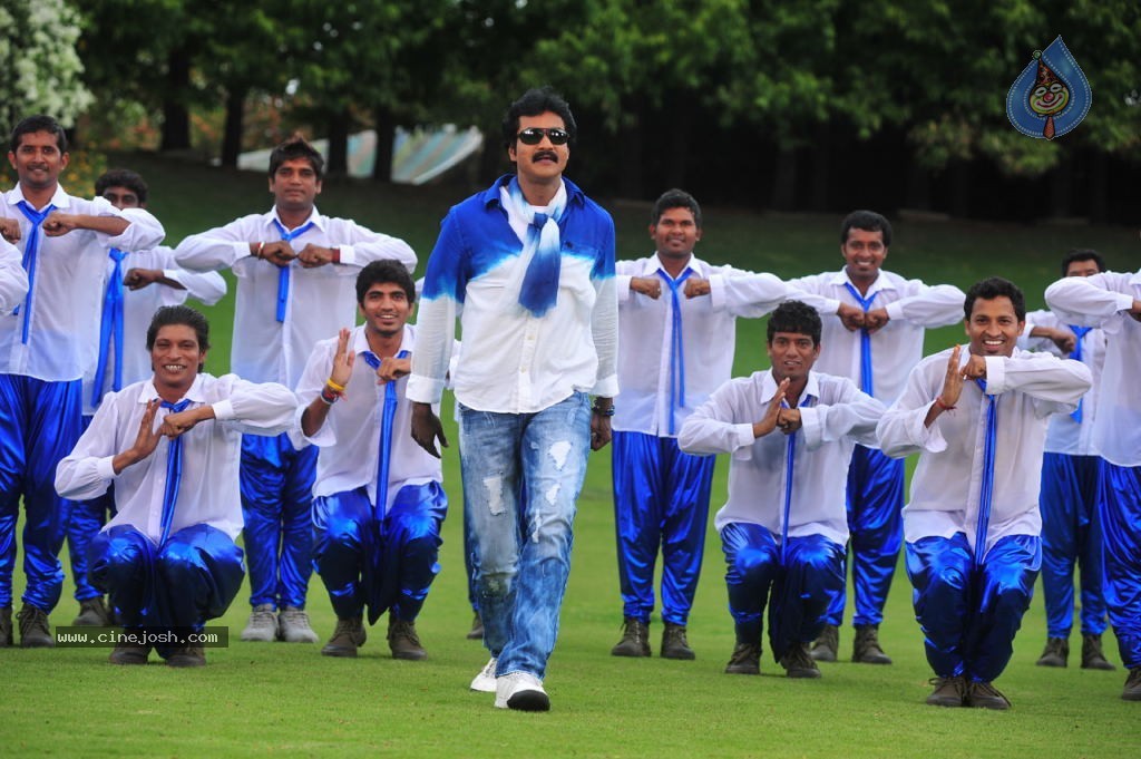 Poola Rangadu Movie Gallery - 3 / 38 photos