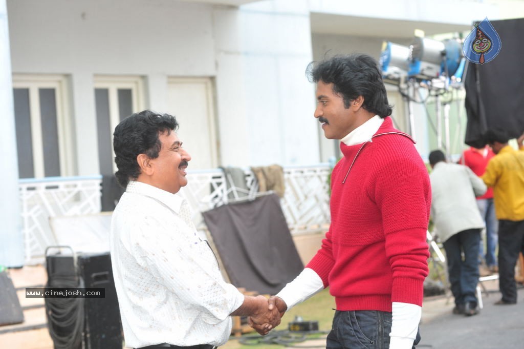 Poola Rangadu Movie Gallery - 8 / 38 photos