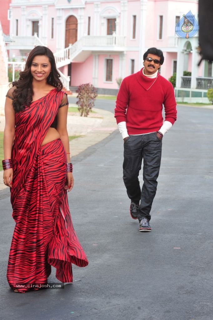 Poola Rangadu Movie Gallery - 18 / 38 photos