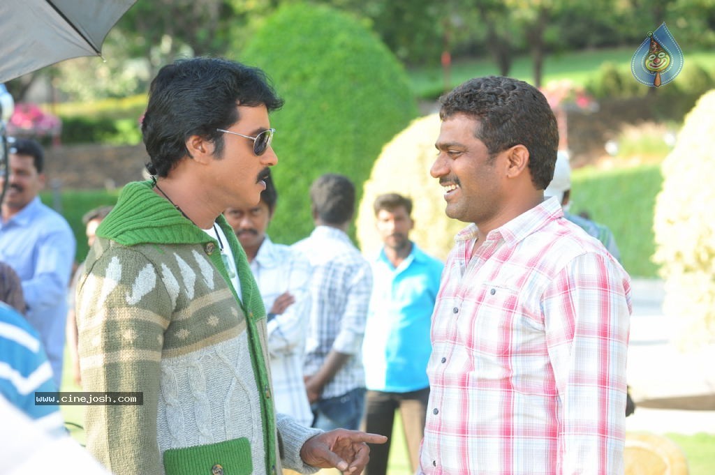 Poola Rangadu Movie Gallery - 23 / 38 photos