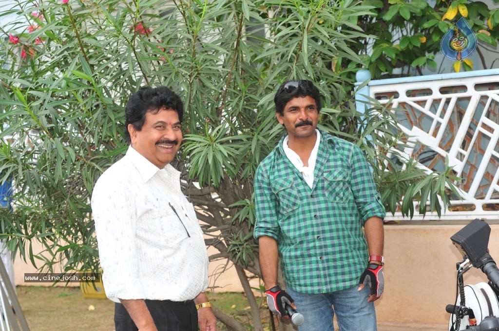 Poola Rangadu Movie Gallery - 33 / 38 photos