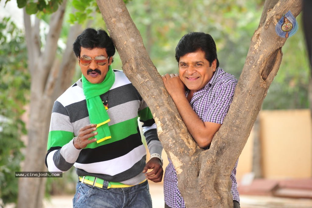 Poola Rangadu Movie Latest Stills - 5 / 79 photos
