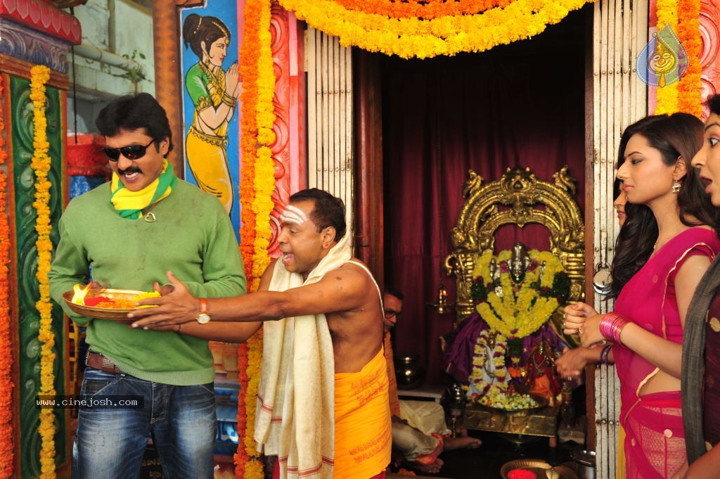 Poola Rangadu Movie Latest Stills - 28 / 79 photos