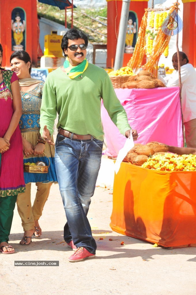 Poola Rangadu Movie Latest Stills - 65 / 79 photos