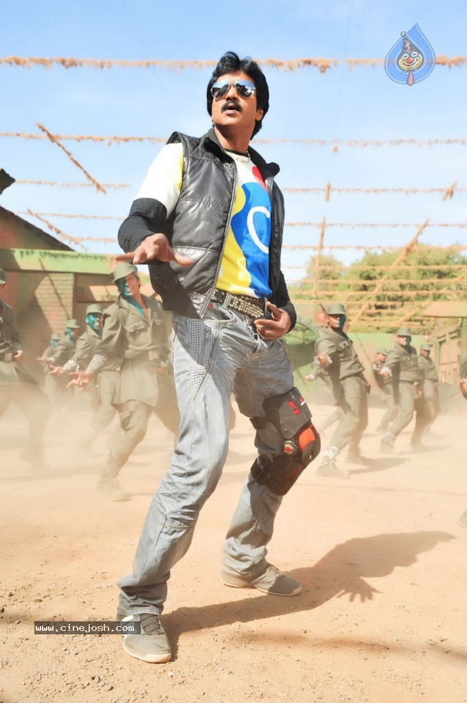 Poola Rangadu Movie New Stills - 11 / 34 photos