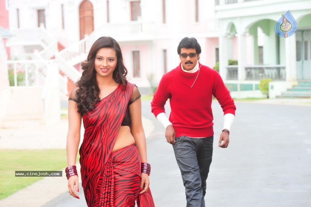 Poola Rangadu Movie New Stills - 24 / 34 photos