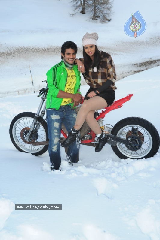 Prema Kavali Movie New Gallery - 74 / 159 photos