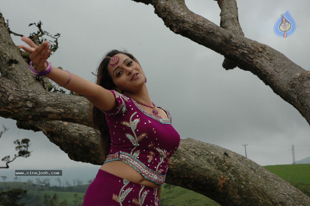 Prema Nilayam Movie Stills - 28 / 80 photos