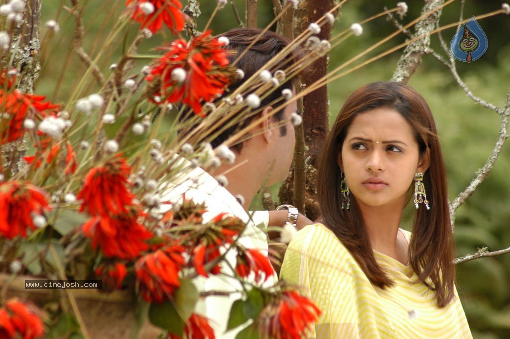Prema Nilayam Movie Stills - 30 / 80 photos