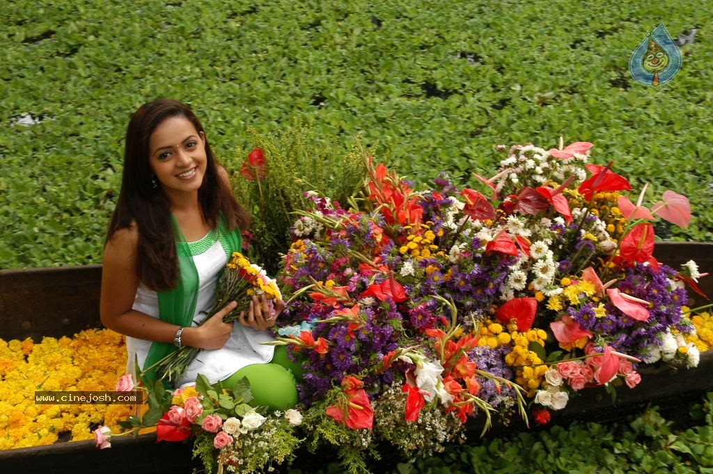 Prema Nilayam Movie Stills - 80 / 80 photos