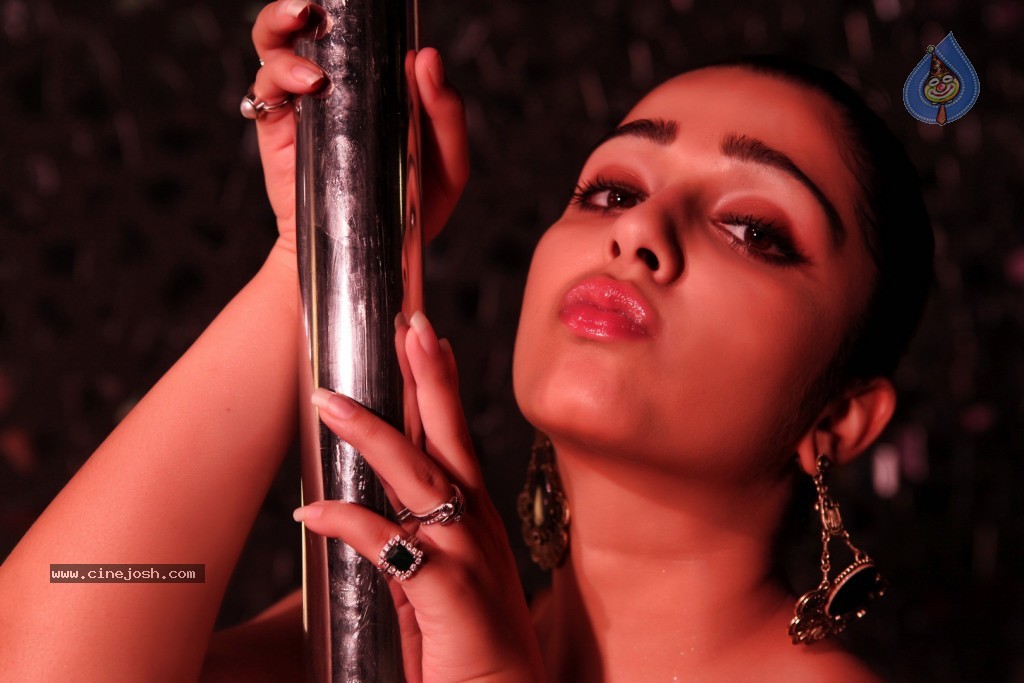 Prema Oka Maikam Stills and Walls - 12 / 41 photos