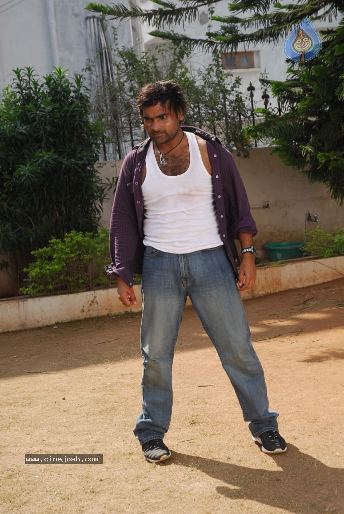 Prema Pilustondi Movie Photos - 15 / 15 photos