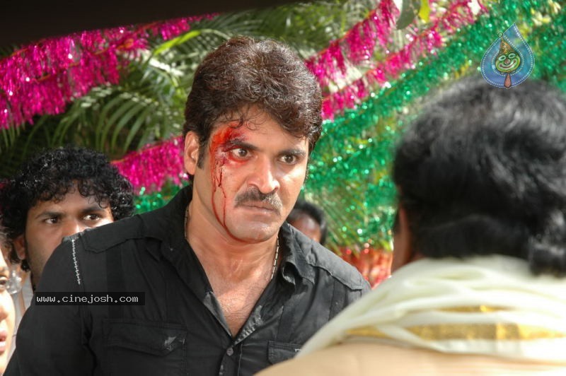 Prema Pilustondi Movie Stills - 44 / 45 photos