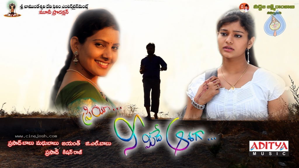 Priya Nee Meedey Aashaga Audio Launch n Stills - 27 / 62 photos