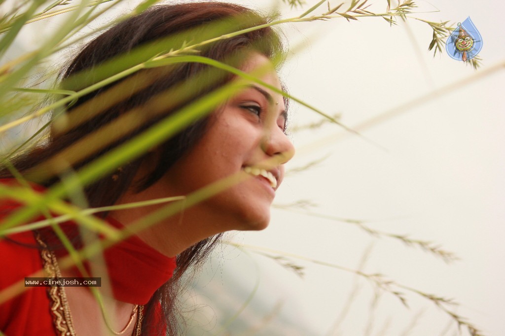 Priya Premalo Pream Stills and Walls - 4 / 69 photos