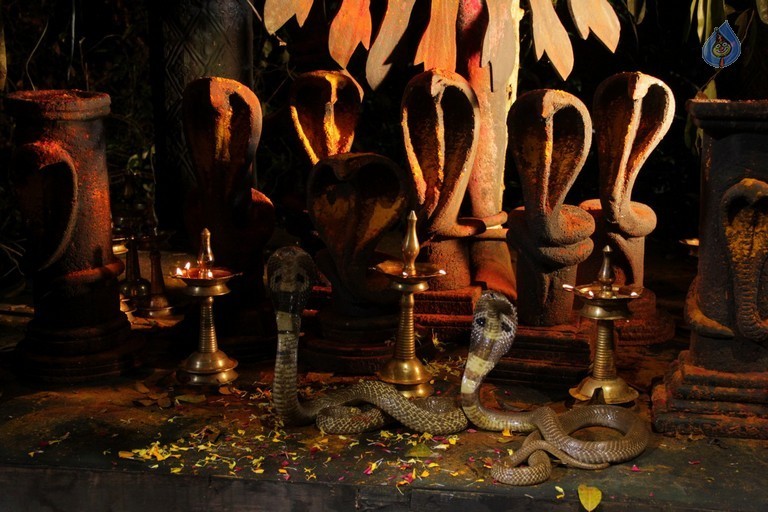 Punnami Ratri Movie New Photos - 6 / 24 photos