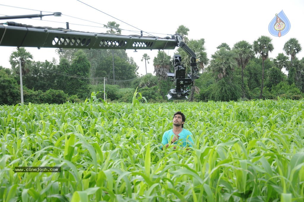 Pure Love Movie Stills - 87 / 141 photos