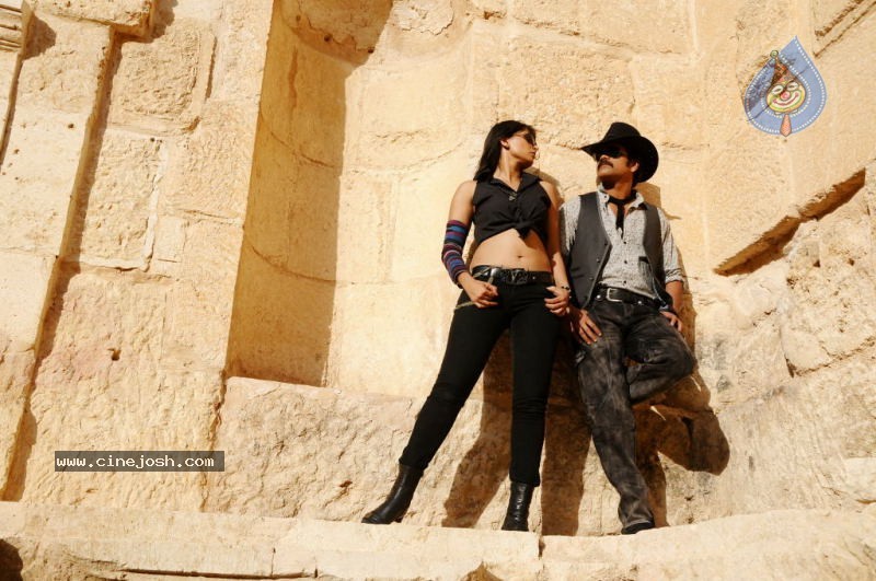 Ragada Movie Latest Gallery - 69 / 69 photos