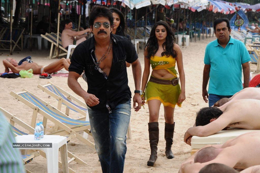 Ragada Movie New Gallery - 26 / 30 photos