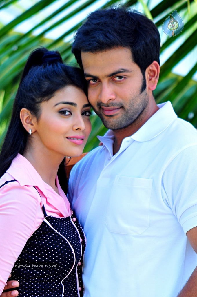 Raja Pokkiri Raja Tamil Movie Stills - 31 / 71 photos