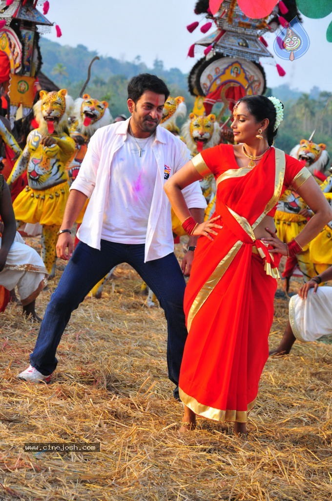 Raja Pokkiri Raja Tamil Movie Stills - 71 / 71 photos