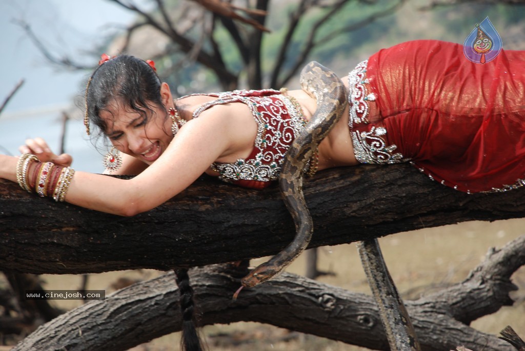 Rajakota Rahasyam New Photos - 42 / 150 photos