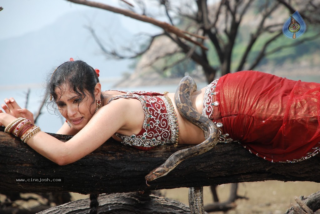 Rajakota Rahasyam New Photos - 47 / 150 photos