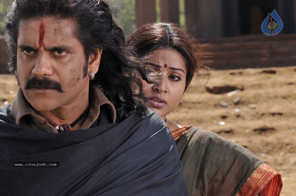 Rajanna Movie Stills - 23 / 30 photos