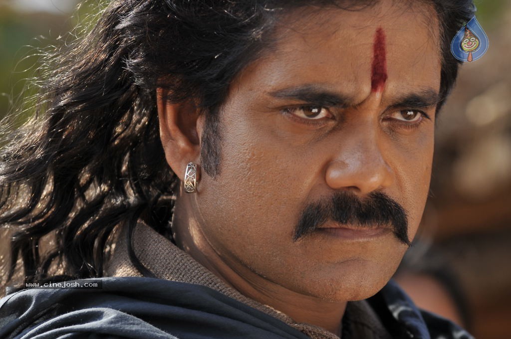 Rajanna Movie Stills - 28 / 30 photos