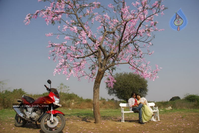 Rajendra Movie New Stills - 6 / 41 photos