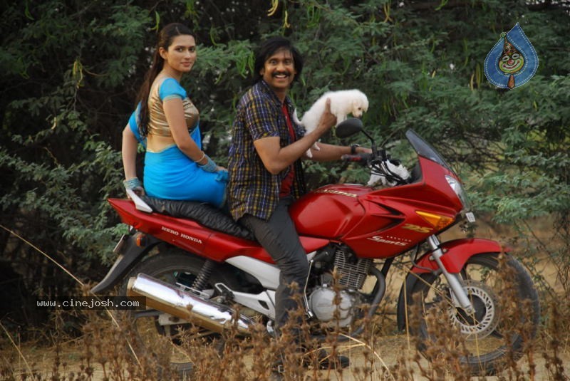 Rajendra Movie New Stills - 18 / 41 photos