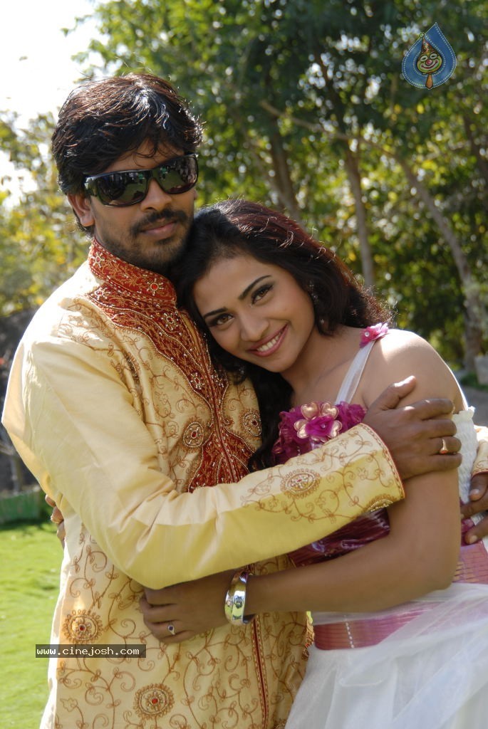 Ringa Ringa Movie Hot Stills - 15 / 28 photos
