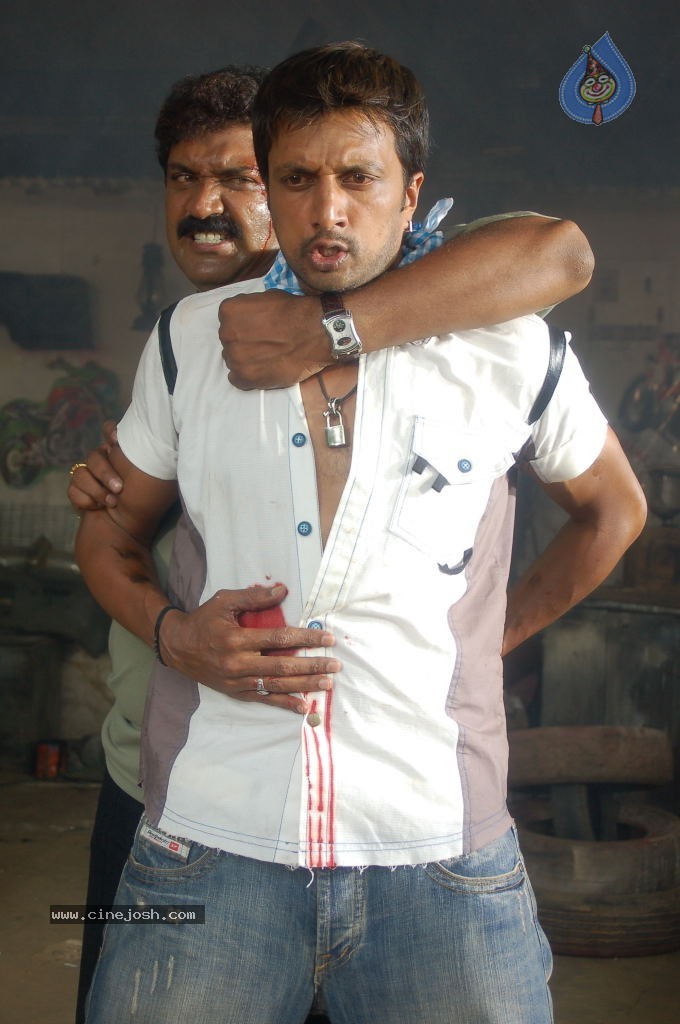 Rowdy Simha Movie Stills - 11 / 72 photos