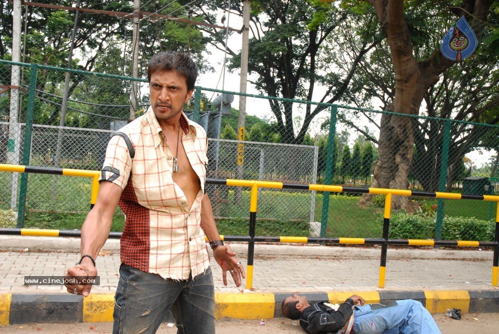 Rowdy Simha Movie Stills - 25 / 72 photos