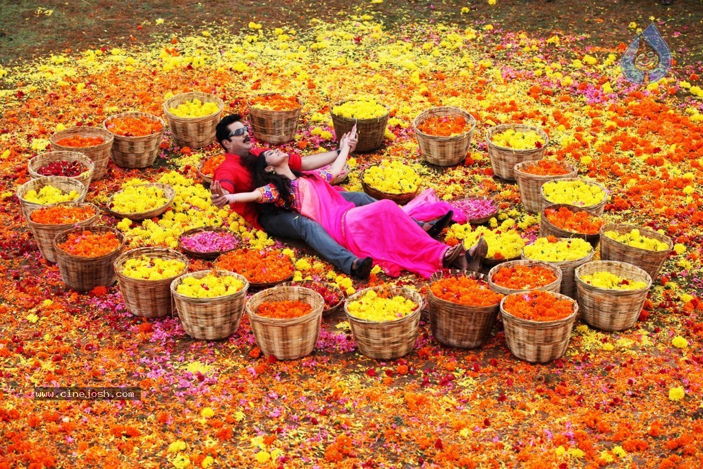 Sandamarutham Tamil Movie Gallery - 13 / 51 photos