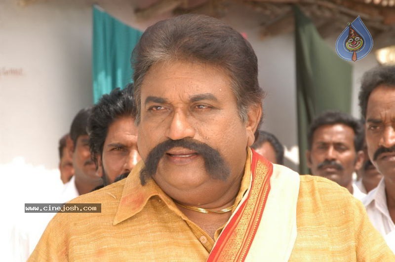 Seema Tapakai Movie Photo Gallery - 209 / 309 photos