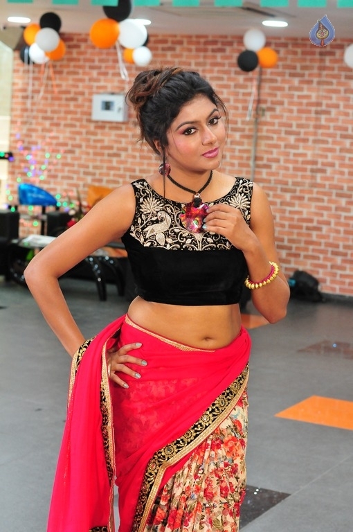 Sekharam Gari Abbayi Movie Posters and Photos - 14 / 14 photos