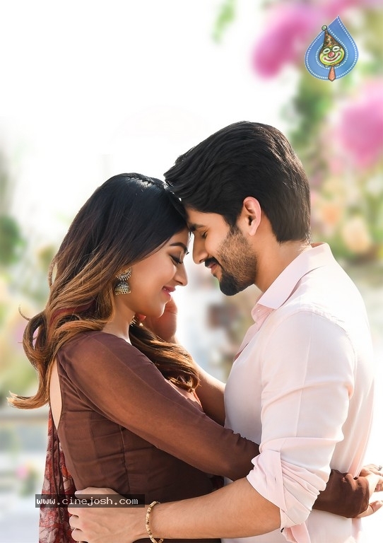 Shailaja Reddy Alludu Latest Stills - 30 / 66 photos