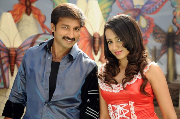 Shankam Movie Stills - Gopi Chand - Trisha - 19 / 22 photos