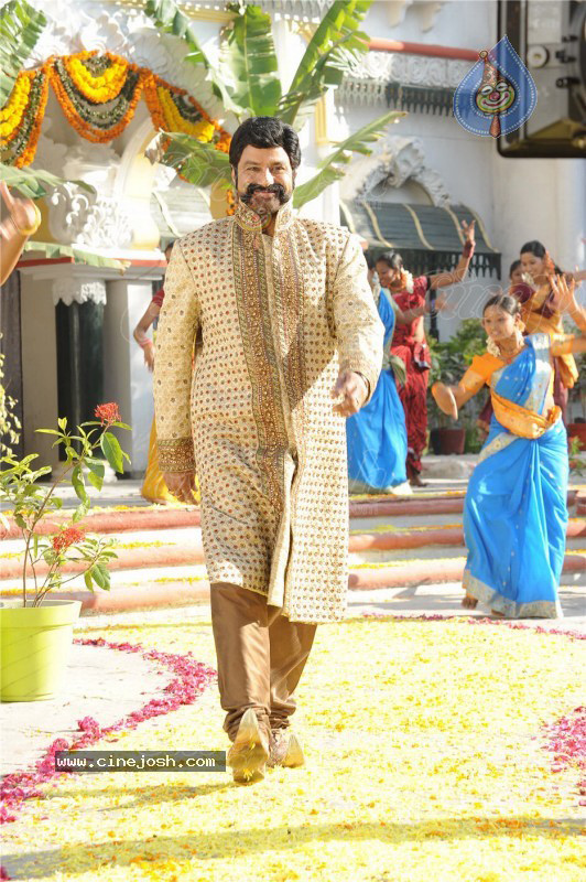 Simha Movie New Stills (CineJosh Exclusive) - 17 / 52 photos